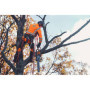 Husqvarna 550i XP® G