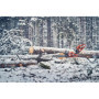 Husqvarna 560 XP G Mark II – pilarka 4,8 KM, 38 cm