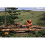 Husqvarna 565 – pilarka spalinowa 5 KM, 45 cm