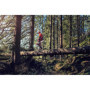 Husqvarna 572 XP® G