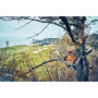 Husqvarna T542i XP® G